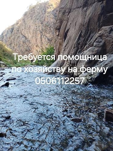 Требуется работница по хозяйству на ферму проживание питание Сокулук at lalafo.kg Требуется работница по хозяйству на ферму проживание питание Сокулук