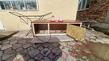 Dongfeng: Брудер/клетка для выращивания цыплят и другой птицы Внимание!!! Прошу at lalafo.kg — 9 Dongfeng: Брудер/клетка для выращивания цыплят и другой птицы Внимание!!! Прошу — 9