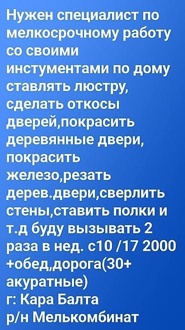 Требуется профессионал с широким спектром навыков и собственным at lalafo.kg Требуется профессионал с широким спектром навыков и собственным