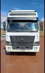 Сатылат жылы2007 кпп 12 толко голова at lalafo.kg Сатылат жылы2007 кпп 12 толко голова