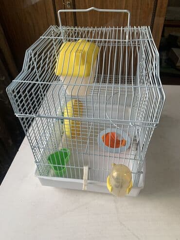 Деңиз чочколору: Клетка хомячка двухуровневая поилка, кормушка, домик, колесо, горка lalafo.kg да — 3 Деңиз чочколору: Клетка хомячка двухуровневая поилка, кормушка, домик, колесо, горка — 3