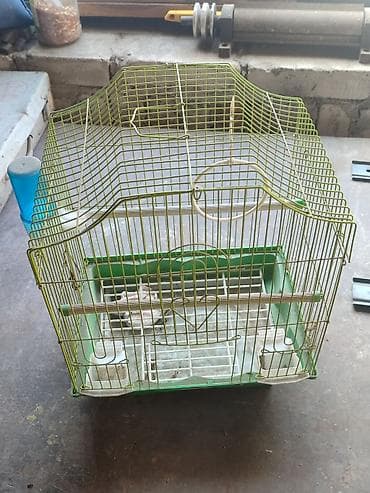 Клетка для мелких птиц (канарейки, волнистые попугаи, амадины) at lalafo.kg Клетка для мелких птиц (канарейки, волнистые попугаи, амадины)