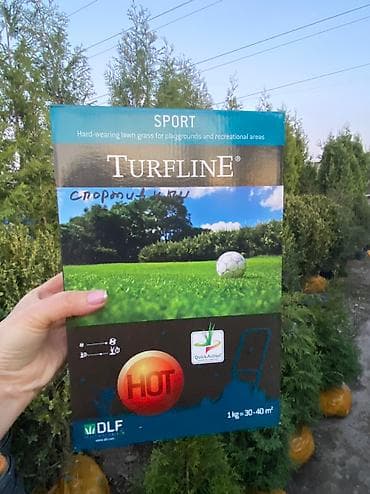 Газон газоны спорт низко рослый солнечный теневой универсальный lalafo.kg да Газон газоны спорт низко рослый солнечный теневой универсальный