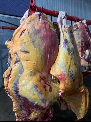 Як at lalafo.kg Як