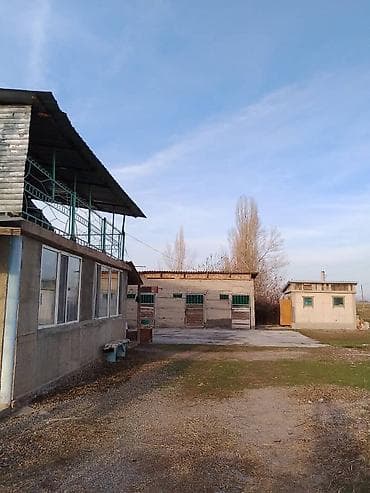 Продажа дач: Продаётся дача с хозяйственными постройками и просторным двором. - at lalafo.kg — 2 Продажа дач: Продаётся дача с хозяйственными постройками и просторным двором. - — 2