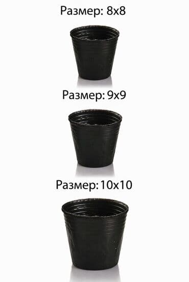 Стаканчики для рассады и комнатных растений (цена 0.25 тыйын) - Цвет at lalafo.kg Стаканчики для рассады и комнатных растений (цена 0.25 тыйын) - Цвет