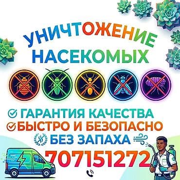 Дезинфекциялоо, дезинсекциялоо, | Канталалар, Бүргөлөр, Таракандар, | Унаа, Офистер, Батирлер lalafo.kg да Дезинфекциялоо, дезинсекциялоо, | Канталалар, Бүргөлөр, Таракандар, | Унаа, Офистер, Батирлер