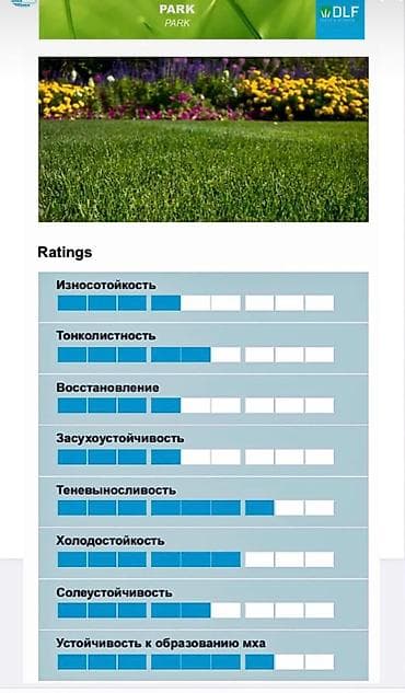 Семена европейского газона DLF (Дания) по оптовым ценам! ✅В наличии at lalafo.kg — 6 Семена европейского газона DLF (Дания) по оптовым ценам! ✅В наличии — 6