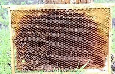 Пчелиные рамки сушью для ульев Описание: - Деревянные рамки at lalafo.kg — 1 Пчелиные рамки сушью для ульев Описание: - Деревянные рамки — 1