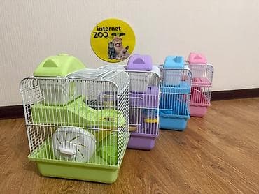 Клетки для комячков Цена 1300 сом НОВЫЕ Есть в продаже хомячки at lalafo.kg Клетки для комячков Цена 1300 сом НОВЫЕ Есть в продаже хомячки