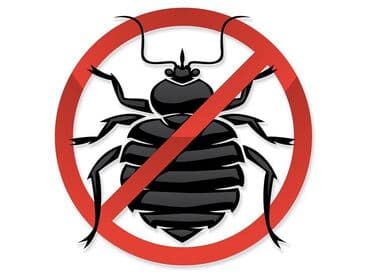 Дезинфекция, дезинсекция, | Клопы, Блохи, Тараканы, | Офисы, Квартиры, Дома at lalafo.kg Дезинфекция, дезинсекция, | Клопы, Блохи, Тараканы, | Офисы, Квартиры, Дома