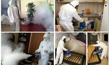 уничтожение клоп блох: Дезинфекция, дезинсекция, | Клопы, Блохи, Тараканы, | Транспорт, Офисы, Квартиры at lalafo.kg — 2 уничтожение клоп блох: Дезинфекция, дезинсекция, | Клопы, Блохи, Тараканы, | Транспорт, Офисы, Квартиры — 2