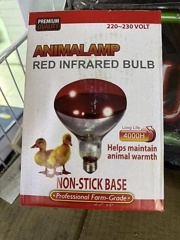 Инфракрасная красная лампа ANIMALAMP для обогрева животных - at lalafo.kg Инфракрасная красная лампа ANIMALAMP для обогрева животных -