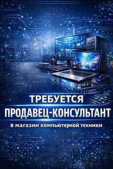 Вакансия: Продавец-консультант в магазин компьютерной техники В at lalafo.kg Вакансия: Продавец-консультант в магазин компьютерной техники В