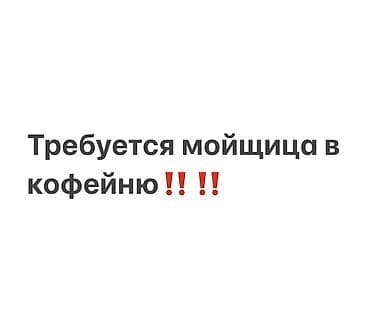 Требуется Посудомойщик, Оплата: Дважды в месяц at lalafo.kg Требуется Посудомойщик, Оплата: Дважды в месяц