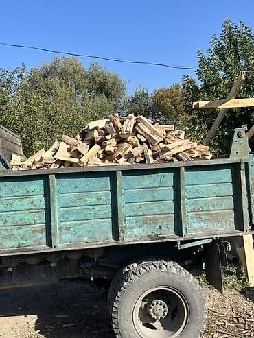 Дрова Бесплатная доставка at lalafo.kg Дрова Бесплатная доставка