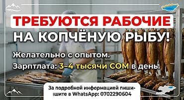 Требуется Разнорабочий на производство, Оплата: Ежедневно, Менее года опыта at lalafo.kg Требуется Разнорабочий на производство, Оплата: Ежедневно, Менее года опыта