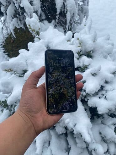 IPhone 11, 64 ГБ, Серебристый at lalafo.kg IPhone 11, 64 ГБ, Серебристый