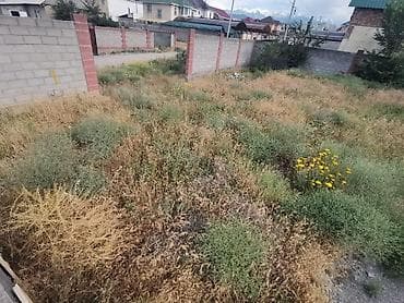 4 соток, Для строительства, Красная книга, Договор купли-продажи at lalafo.kg 4 соток, Для строительства, Красная книга, Договор купли-продажи