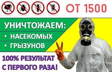 Обработка от тараканов, уничтожение клопов, насекомые Травить клопов at lalafo.kg Обработка от тараканов, уничтожение клопов, насекомые Травить клопов