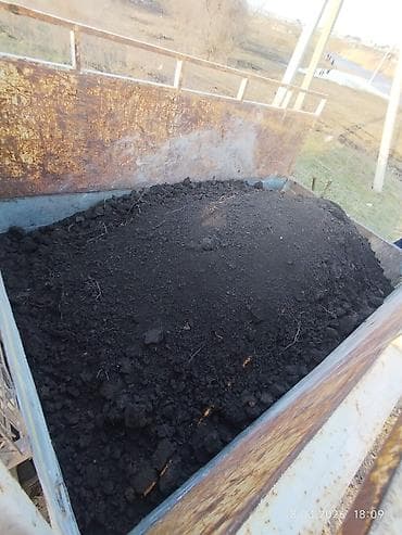 Кара топурак чернозём кара топурак чернозём кара топурак чернозём кара at lalafo.kg Кара топурак чернозём кара топурак чернозём кара топурак чернозём кара