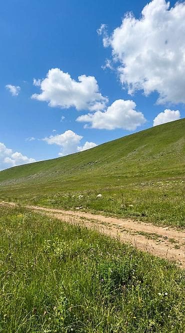 8 соток, Курулуш, Кызыл китеп, Техпаспорт lalafo.kg да — 8 8 соток, Курулуш, Кызыл китеп, Техпаспорт — 8