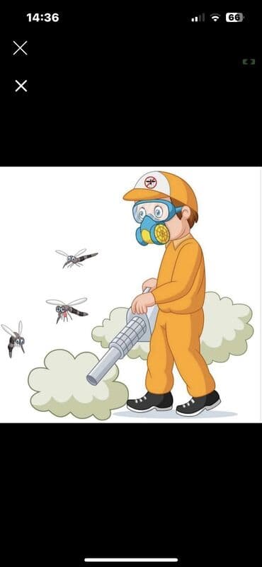 Стирка, прачечная: Дезинфекция, дезинсекция, | Блохи, Вирусы, микробы, Клопы, | Подвал, погреб, Подъезды, Транспорт at lalafo.kg — 7 Стирка, прачечная: Дезинфекция, дезинсекция, | Блохи, Вирусы, микробы, Клопы, | Подвал, погреб, Подъезды, Транспорт — 7