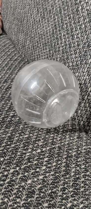 Деңиз чочколору: Продаются колесо и прогулочный шар для джунгарского хомячка. И колесо lalafo.kg да — 4 Деңиз чочколору: Продаются колесо и прогулочный шар для джунгарского хомячка. И колесо — 4