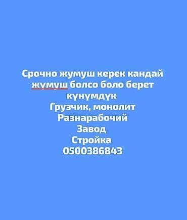 Услуги разнорабочего/грузчика на подработку и ежедневную занятость at lalafo.kg Услуги разнорабочего/грузчика на подработку и ежедневную занятость