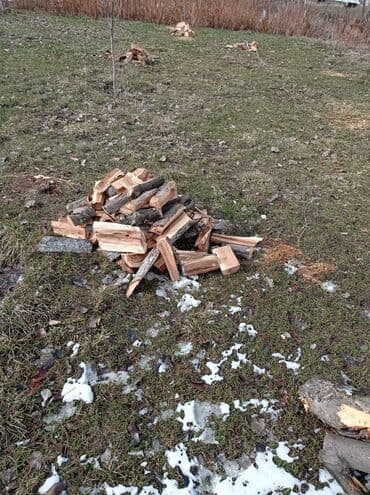 Пилю деревья, дрова. at lalafo.kg Пилю деревья, дрова.