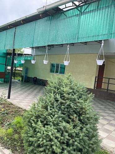 Продается большой полуподвальный дом . Имеется 6 комнат 4 спальных lalafo.kg да Продается большой полуподвальный дом . Имеется 6 комнат 4 спальных