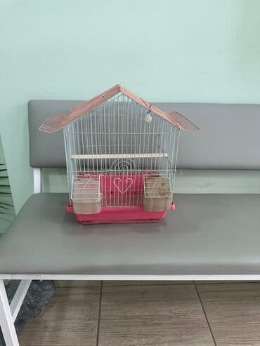 Продается клетка попугая б/у, таких есть 2 штуки, 1 большая и 1 как на at lalafo.kg Продается клетка попугая б/у, таких есть 2 штуки, 1 большая и 1 как на