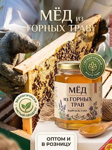 Мёд из горных трав Кыргызстана - Свежий урожай этого года - at lalafo.kg Мёд из горных трав Кыргызстана - Свежий урожай этого года -