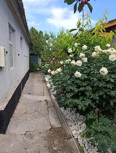 Сдаётся уютный дом с ухоженным зелёным двором и зоной отдыха. - at lalafo.kg Сдаётся уютный дом с ухоженным зелёным двором и зоной отдыха. -