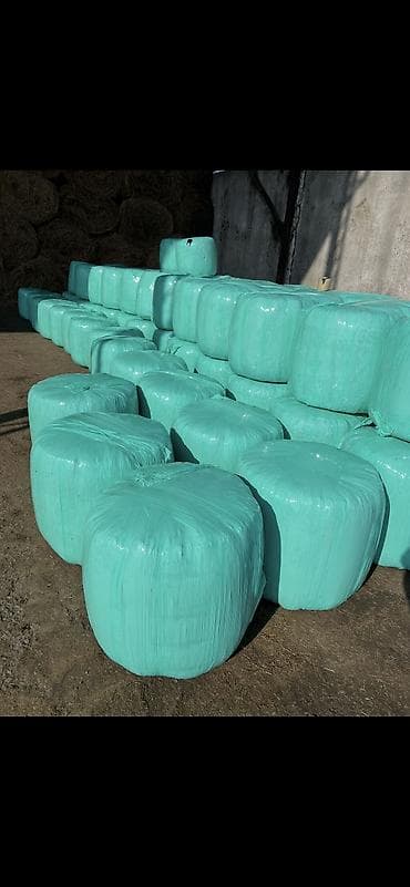 Продам оптом силос. Минимально отгрузка от 100 тон и выше. Цена 5 сом at lalafo.kg Продам оптом силос. Минимально отгрузка от 100 тон и выше. Цена 5 сом