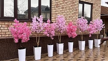 Искусственные декоративные деревья в кашпо для интерьера и экстерьера at lalafo.kg — 1 Искусственные декоративные деревья в кашпо для интерьера и экстерьера — 1