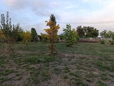 Линолеум: 6 соток, Курулуш, Кызыл китеп, Сатып алуу-сатуу келишими lalafo.kg да — 6 Линолеум: 6 соток, Курулуш, Кызыл китеп, Сатып алуу-сатуу келишими — 6