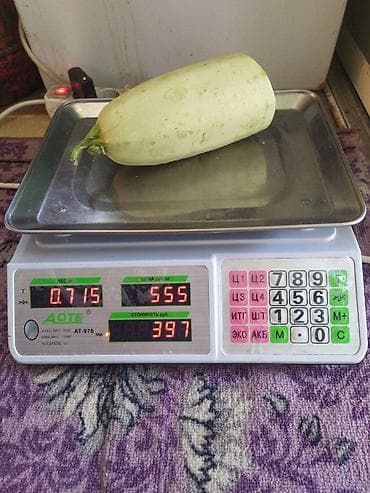 Продаю весы состояние очень хорошее с 5 гр. до 40 кг. с кленкой at lalafo.kg Продаю весы состояние очень хорошее с 5 гр. до 40 кг. с кленкой