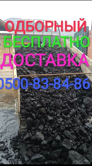 Күнөсканалар: Уголь каменный, фракция крупная (кусковой). Чистый, отборный, с lalafo.kg да — 1 Күнөсканалар: Уголь каменный, фракция крупная (кусковой). Чистый, отборный, с — 1