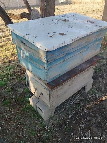 Деревянный Ящик at lalafo.kg Деревянный Ящик