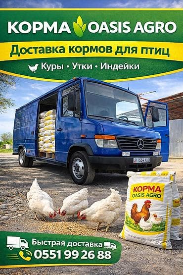 Комбикорм для птицы с доставкой Оптом дешевле - Нужен хороший корм at lalafo.kg Комбикорм для птицы с доставкой Оптом дешевле - Нужен хороший корм