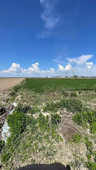 600 соток, Для бизнеса, Договор купли-продажи at lalafo.kg 600 соток, Для бизнеса, Договор купли-продажи