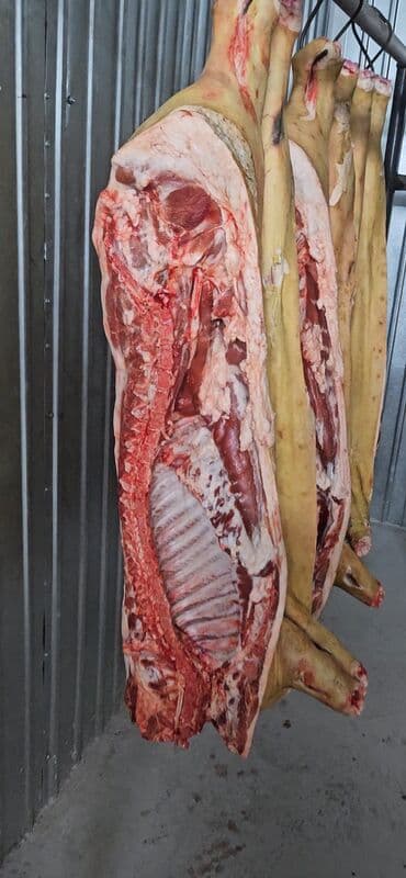 Свинина : Ребра, Фарш at lalafo.kg Свинина : Ребра, Фарш