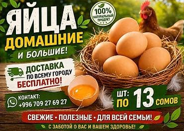 Домашние куриные яйца оптом — крупные, свежие, 100% натуральный at lalafo.kg Домашние куриные яйца оптом — крупные, свежие, 100% натуральный