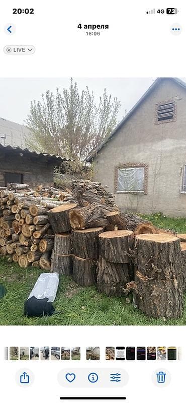 Дрова Самовывоз at lalafo.kg Дрова Самовывоз