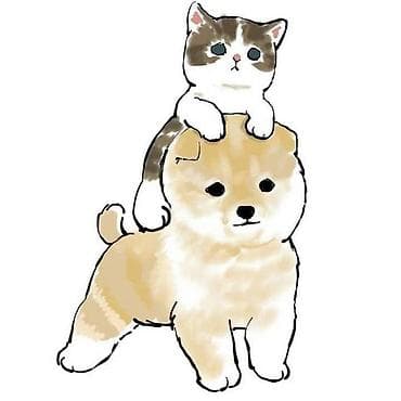 Ищу котят в добрые руки. Готова подарить заботу и любовь 🐱 Рассмотрю at lalafo.kg Ищу котят в добрые руки. Готова подарить заботу и любовь 🐱 Рассмотрю