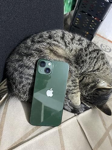 IPhone 13, Б/у, 128 ГБ, Зеленый, Зарядное устройство, Защитное стекло, Коробка, 81 % at lalafo.kg IPhone 13, Б/у, 128 ГБ, Зеленый, Зарядное устройство, Защитное стекло, Коробка, 81 %