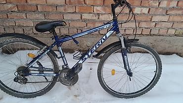 Горный велосипед, Stern, Рама M (156 - 178 см), Сталь at lalafo.kg Горный велосипед, Stern, Рама M (156 - 178 см), Сталь