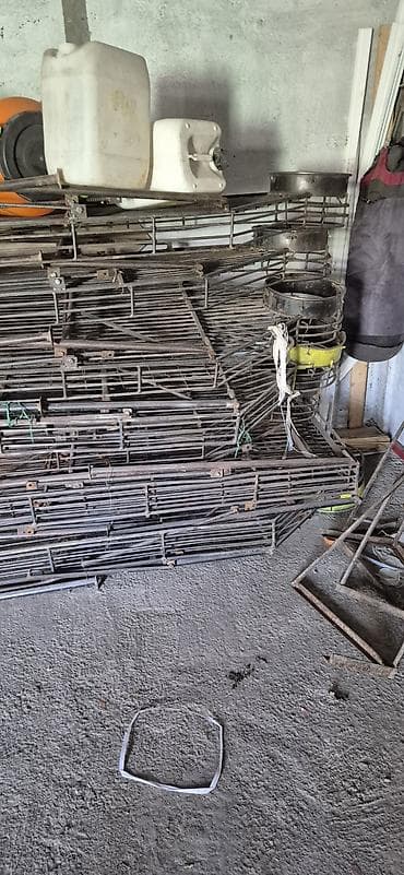 Станки для тарки и сортировки лука. диаметр от 3.3 см . с at lalafo.kg Станки для тарки и сортировки лука. диаметр от 3.3 см . с