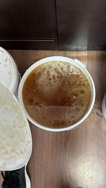 Натуральный мёд в пищевом пластиковом ведре, ведро 15 кг, 600 сом за 1 at lalafo.kg Натуральный мёд в пищевом пластиковом ведре, ведро 15 кг, 600 сом за 1